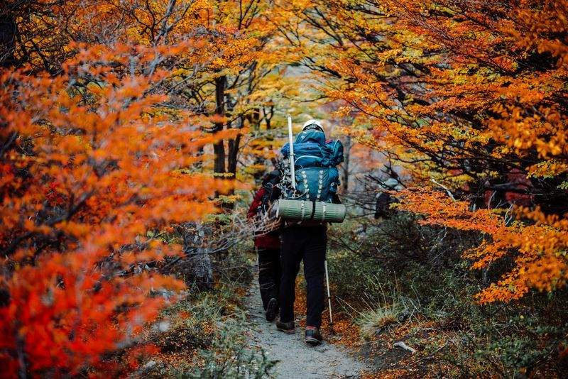 Harbour Peak Hiking Co. 2