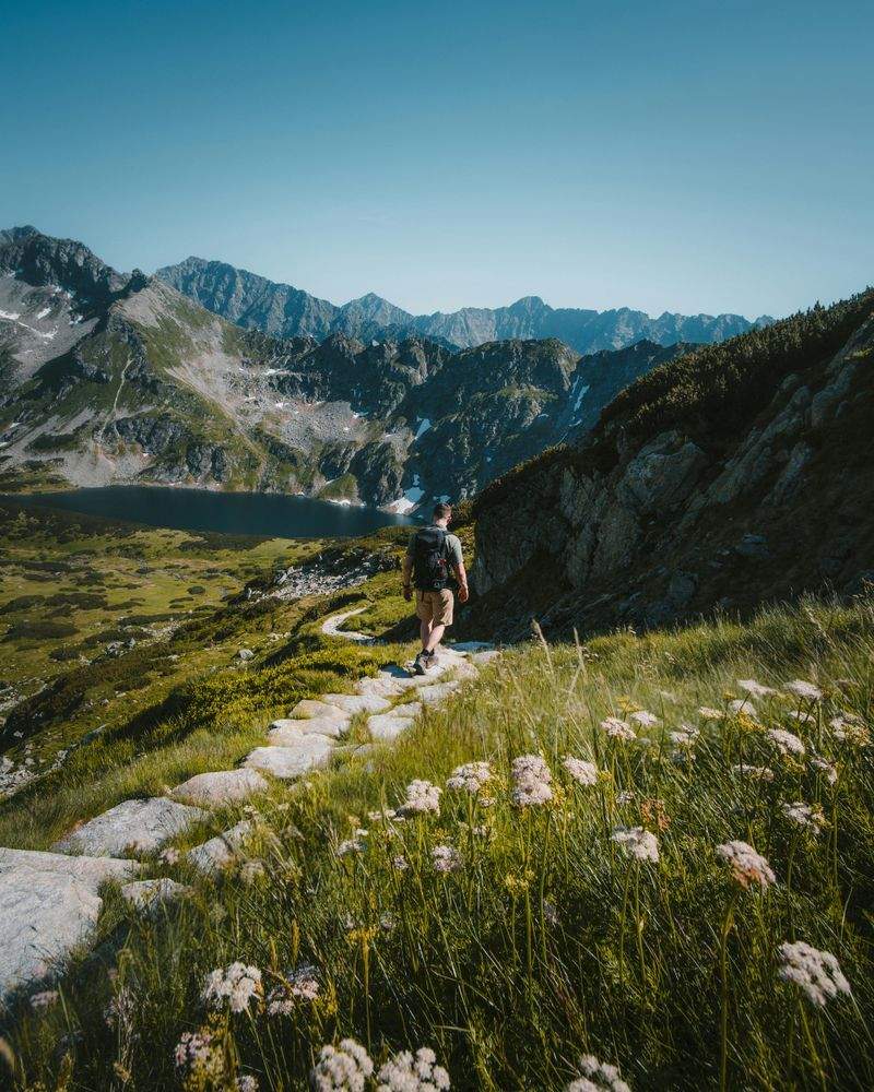 Harbour Peak Hiking Co. 5